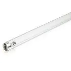 Philips T8 UV - C 36W - Ultraviolet | 120cm